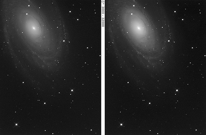 m81 adj