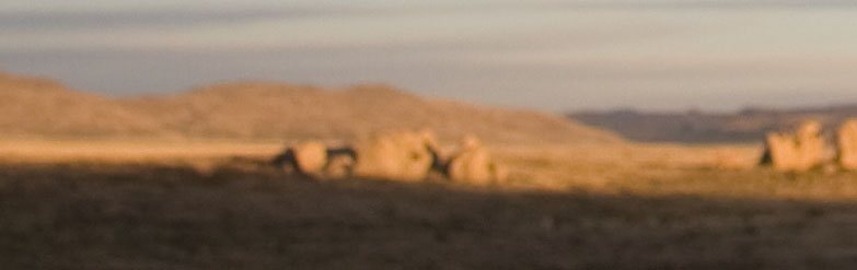 crop