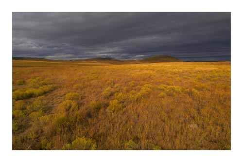 Aldo Leopold Wilderness