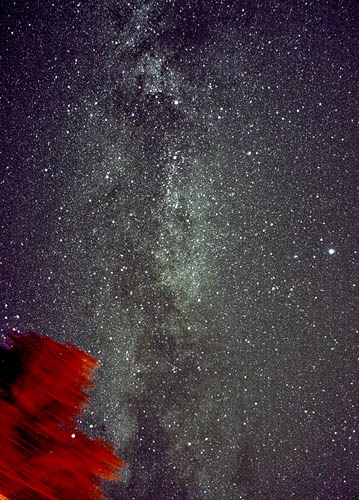 Cygnus