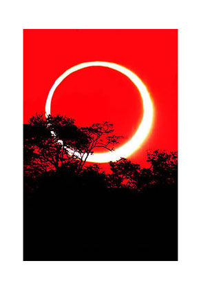 Annular Eclipse over Tropical Forest