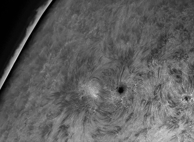 sun