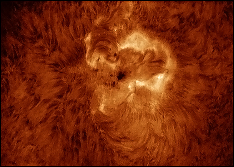 Sun