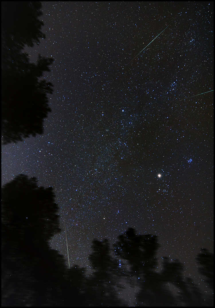 geminids