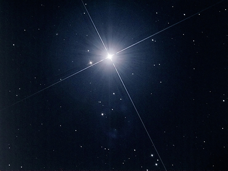 regulus