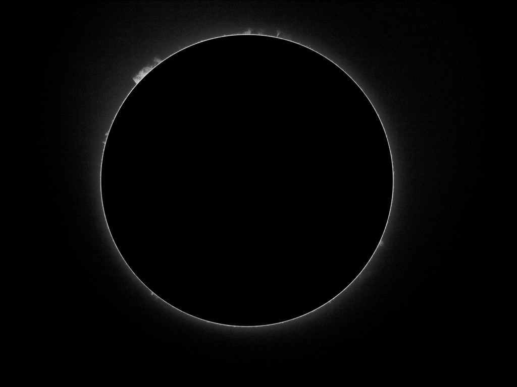 20100619_limb