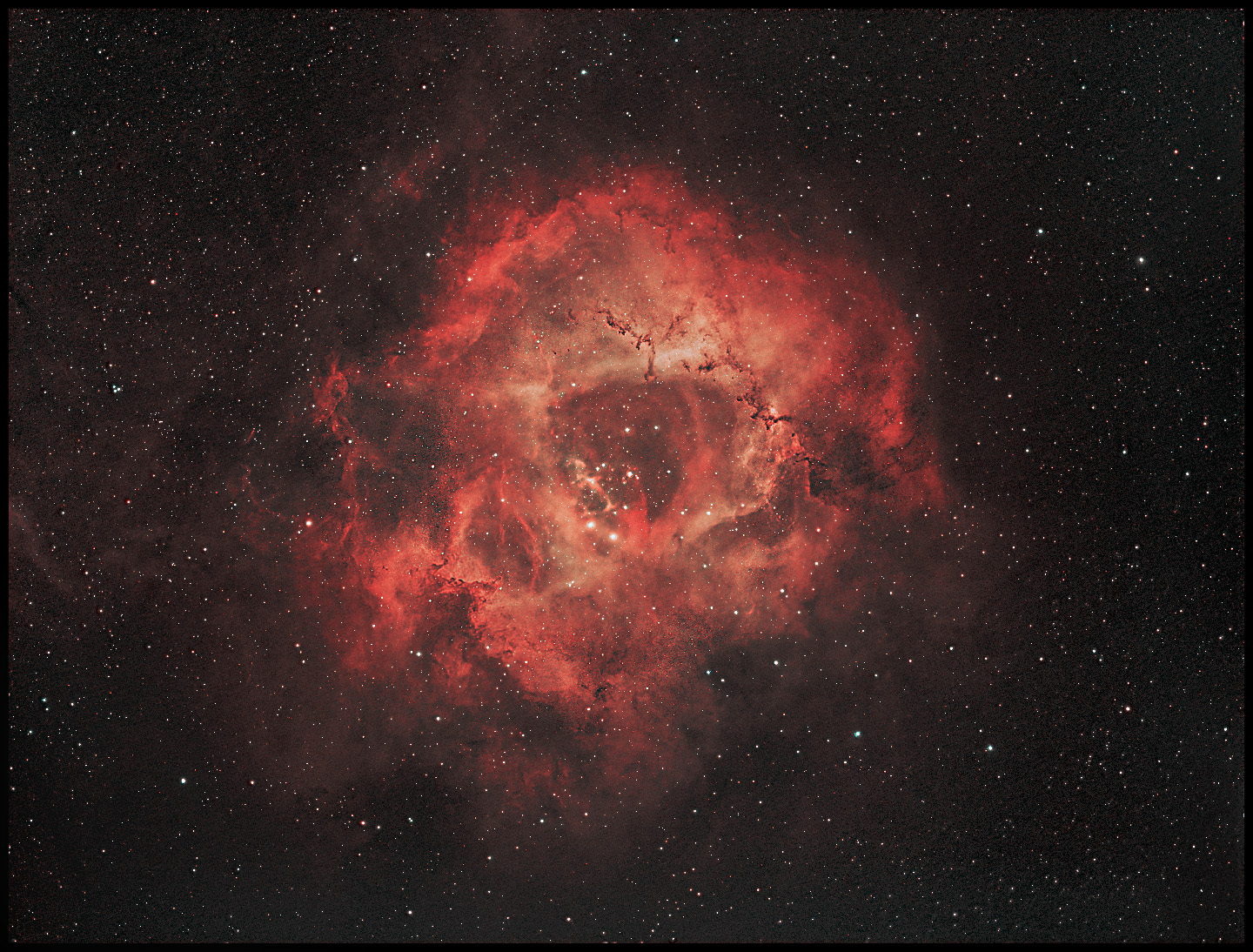 rosette